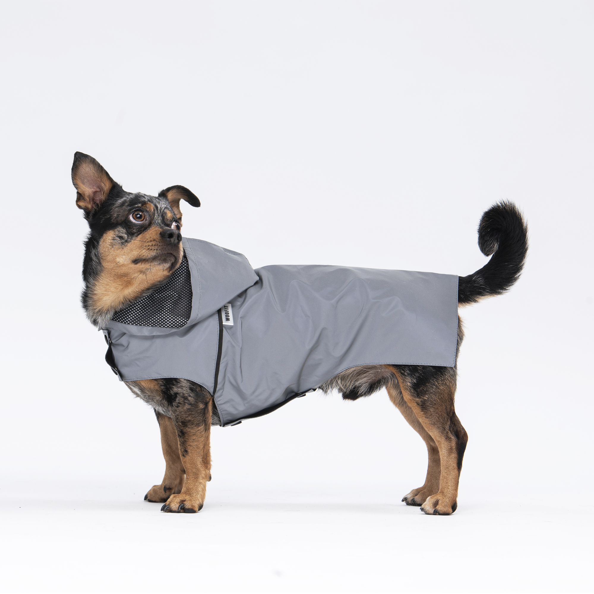 raincoat